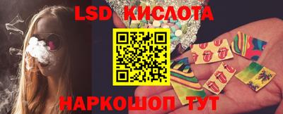 прущие грибы Ставрополь