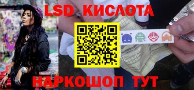 прущие грибы Ставрополь