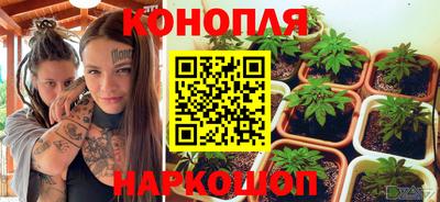 прущие грибы Ставрополь