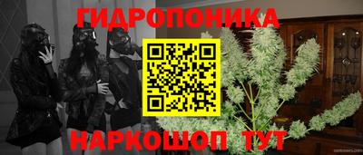 прущие грибы Ставрополь