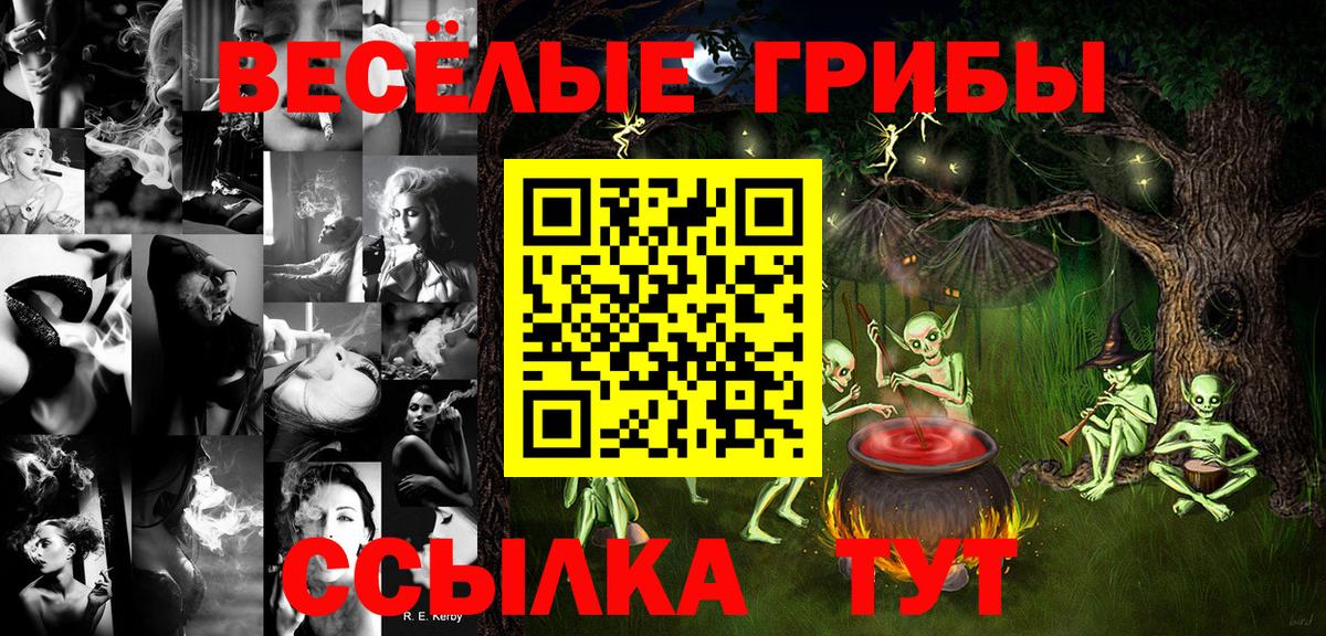 Псилоцибиновые грибы GOLDEN TEACHER  Псилоцибиновые грибы Psilocybe  где продают наркотики  Всеволожск  Вход с VPN 