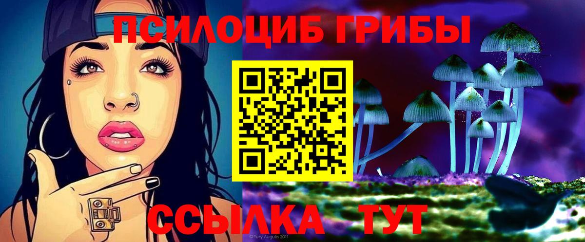 Псилоцибиновые грибы Cubensis Всеволожск
